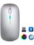 ZR215 Cba100 Rgb Gümüş Şarjlı Mouse 1