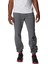 Columbıa Trek Jogger Regular Straıght AX5441-037 L Men 1