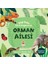 Orman Ailesi - Bilgi Dolu Ilk Kitaplarım 1