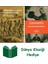 Tarihte Köleler, Irklar ve Azınlıklar Üzerine + Geometri + Dünya Klasiği Hediye 1