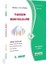 Aöf 3. Sınıf Turuzim Sosyolojisi Güz Dönemi Konu Anlatımlı Soru Bankası 1