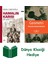 Erdal Çakıcıoğlu + Geometri + Dünya Klasiği Hediye 1