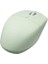 Frısby FM-290WM Kablosuz Mouse Green 1