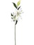 Çiçek Lilyum Beyaz 90 Cm. 2