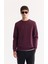 Erkek Bordo Bisiklet Yaka Pamuklu Bi-Stretch Baskılı Regular Fit Sweatshirt A52Y1325 8