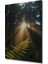 Orman Işıkları ve Eğrelti Otu Yağlı Boya Görünümlü Ahşap Dekoratif Tablo Dikdörtgen Tablo 3