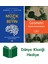 Müzik ve Beyin + Geometri + Dünya Klasiği Hediye 1