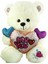 PJH2322 Peluş Kalpli Ayı 30 cm 3