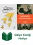 Bir Kuştan Öbürüne: Hayat ve Yazmak Üzerine Tavsiyeler + Geometri + Dünya Klasiği Hediye 1