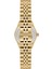 Wel 2511-6 Kadın Kol Saati – Çelik Kasa & Kordon, Takvimli, Gold Renk, 3 Atm Suya Dayanıklı 3