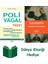 Polivagal Teori- Duyguların, Bağlanmanın, Iletişimin, Özdüzenlemenin Nörofizyolojik Temelleri + Geometri + Dünya Klasiği Hediye 1