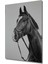 Asil Atın Siyah Beyaz Kara Kalem Ahşap Dekoratif Tablosu Dikdörtgen Tablo 3