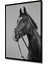 Asil Atın Siyah Beyaz Kara Kalem Ahşap Dekoratif Tablosu Dikdörtgen Tablo 5