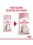 Sterilised Kısırlaştırılmış Yavru Kediler Için Kuru Kedi Maması 2 16