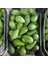 Fuerte Avokado 160-200 gr | Dalından Taze Hasat & Doğal Avokado | Yerel Üreticiden 4