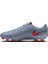 Erkek Çoklu Çim Zemin Kramponu Tıempo Legend 10 Club Fg/mg 2
