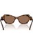 Güneş Gözlüğü SK6050 52 100273 2