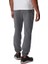 Columbıa Trek Jogger Regular Straıght AX5441-037 Xl Men 3