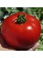 25 Adet Tohum Falcon Domates Tohumu Bol Verim Domates Tohumu Ata Tohum Sürpriz Hediye Tohumludur 3