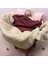 Welsoft & Scotch Kumaş Bebek Battaniyesi 100×100 Ebadında 3