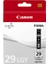 PGI-29-4872B001 Açık Gri Orijinal Kartuş-C Grade 1