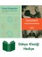 Esnek Altıgenler ve Matematiksel Yanıltmalar + Geometri + Dünya Klasiği Hediye 1