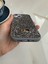 iPhone (14) Uyumlu Lüks Taşlı Kılıf 4