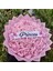 41 Li LED Işıklı Solmayan Gül Buketi Pembe Gül Dışı Pembe Isteme, Söz, Nişan, Şerit Yazılı 8