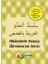 Arapça 5. Sınıf Hikaye Seti 1