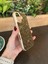iPhone (16) Uyumlu Lüks Taşlı Kılıf 2