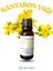 Kantaron Yağı 20 ml 1