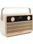 Transita 120 - Dijital Fm/ Dab+ Radyo | Taşınabilir, Bluetooth, Üstün Ses Kalitesi 1