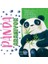 Panda Aranıyor 1