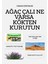 Ağaç Çalı Ot Kurutan Ot Kurutma Solüsyonu Istenmeyen Ot Çalı Kurutma Ilacı Ağaç Kurutma Ilacı Ağaç Kurutan Solüsyon Ağaç Çalı Kurutan Ilaç 4