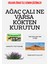 Ağaç Çalı Ot Kurutan Ot Kurutma Solüsyonu Istenmeyen Ot Çalı Kurutma Ilacı Ağaç Kurutma Ilacı Ağaç Kurutan Solüsyon Ağaç Çalı Kurutan Ilaç 5