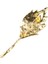 Tavus Kuşu Tüyü Figürlü Taşlı Gold Broş 3