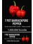 7 Pot Barrackpore Pepper 1 / 1 Milyon Scoville - Gerçek Taze Acı Biber 3