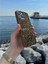 iPhone (16 Pro) Uyumlu Lüks Taşlı Kılıf 2