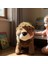 5 Yıldızlı 60 cm Aslan Peluş Oyuncak 2
