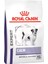 Royal Canin Calm Köpek Maması 4 kg 1