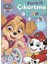 Paw Patrol - Paticik Çıkartma Kitabı 1