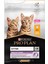 Purına Pro Plan Kitten Tavuk Etli Yavru Kedi Maması 10 kg 1