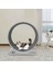 Kedi Egzersiz Çarkı – Sessiz Dayanıklı Koşu Bandı, Kedi Tekerleği ve Küçük Köpek Fitness Çarkı 1