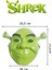 Yeşil Shrek Maskesi 21X25 cm 5