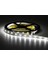 CT-4535 5630 Gold Serisi Yüksek Lümen Şerit LED Beyaz 12V 5mt ( 1700LM ) 1