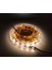 CT-4486 Şerit LED 10 Çipli Naturel Beyaz Işık 4000K Iç Mekan 12V ( 10 Metre ) 1