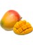 Aşısız Mango Fidanı 1