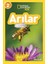 National Geographic Kids Okuma Serisi Seviye 2 - Arılar 1