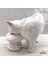 Kedi Mama Ve Su Kabı Seti, Yüksek, Beyaz, Kedi, Özel, Yeni, Beyaz, Pati, Cat,cat Food, White, Water 5