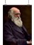 Charles Darwin Poster4 - Retro Duvar Dekoru 1